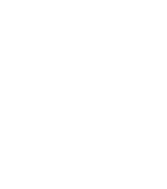 Global Software Outsourcing Company